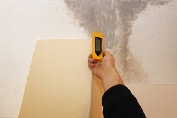 Best Dehumidification Services  in Brookdale, SC
