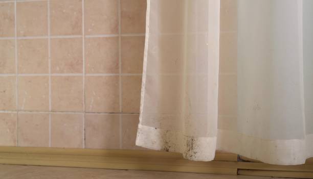 Best Indoor Air Quality Assessment  in Brookdale, SC