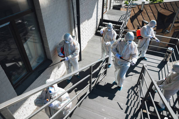 Mold Documentation for Insurance Claims in Brookdale, SC