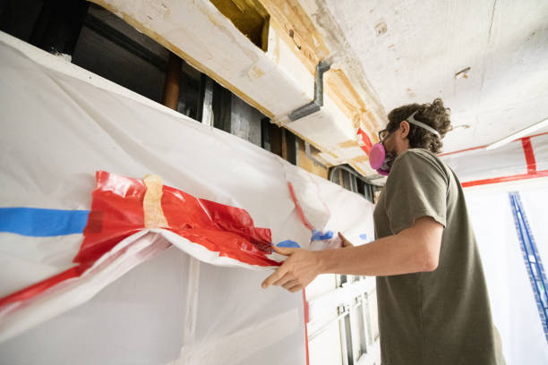 Professional Mold Removal in Brookdale, SC