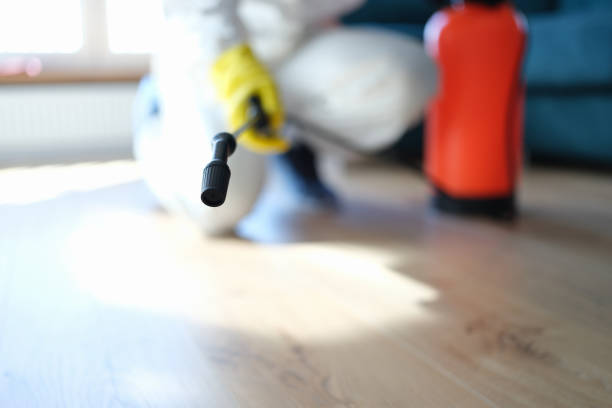 Mold Removal for HVAC Installations in Brookdale, SC