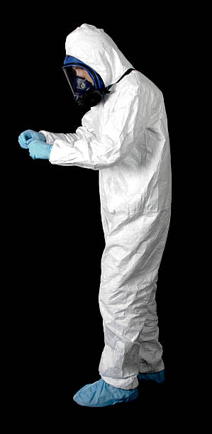 Best Mold Damage Restoration  in Brookdale, SC