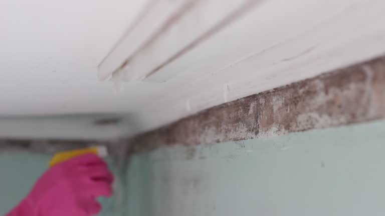 Best Air Quality Testing for Mold Spores  in Brookdale, SC